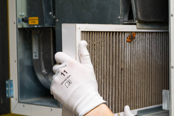 Best HVAC Duct Inspection Services  in Necedah, WI