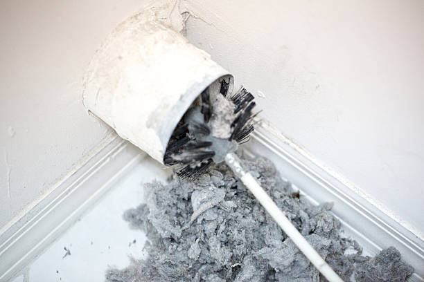 Best Professional Duct Cleaning Services  in Necedah, WI
