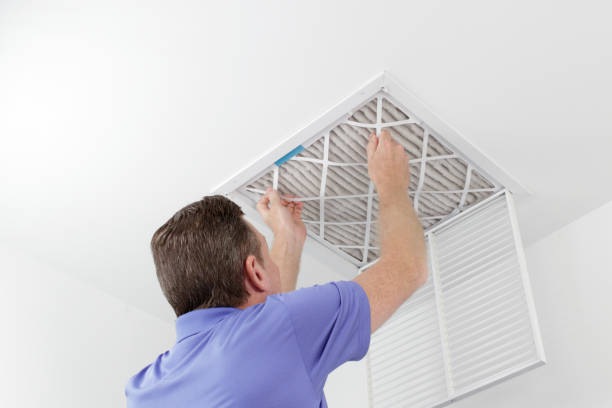 Best Ductwork Cleaning Services  in Necedah, WI